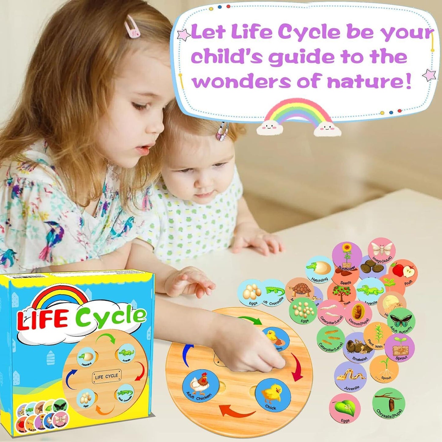 Life Cycle Learning Toy Set - Montessori Educational Toys for Ages 3-8+