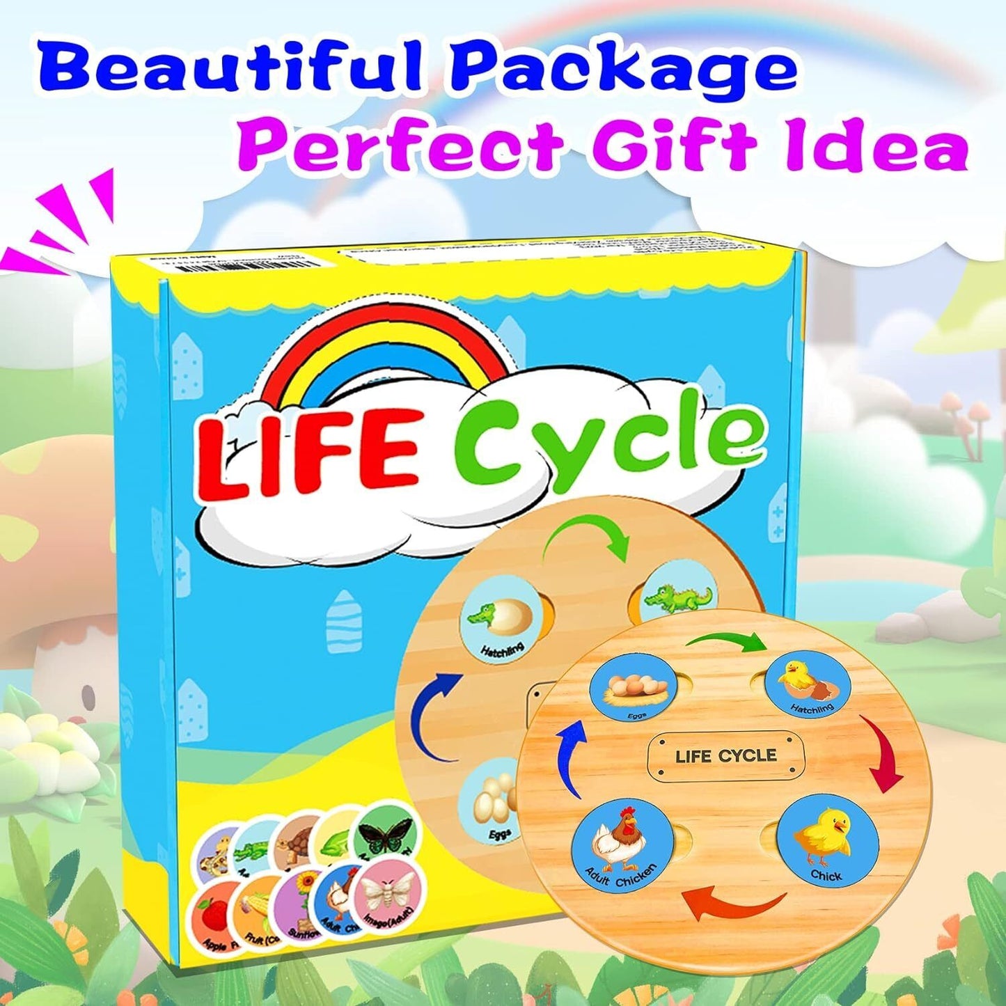 Life Cycle Learning Toy Set - Montessori Educational Toys for Ages 3-8+