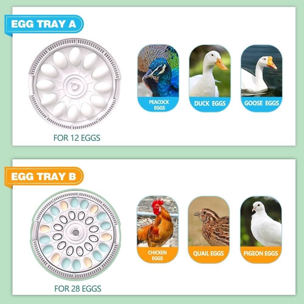 MeeF incubator for Hatching Eggs, Automatic 28 Eggs Incubator, Humidity Control