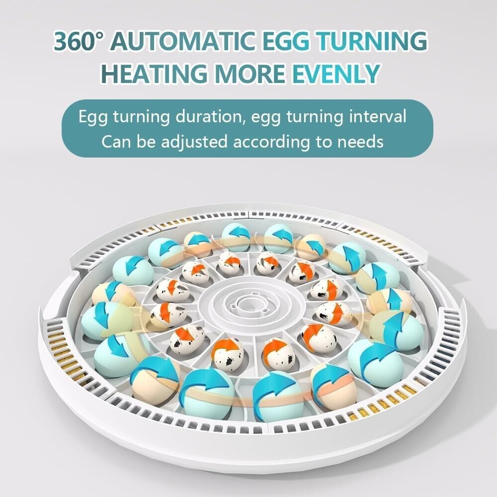 MeeF incubator for Hatching Eggs, Automatic 28 Eggs Incubator, Humidity Control