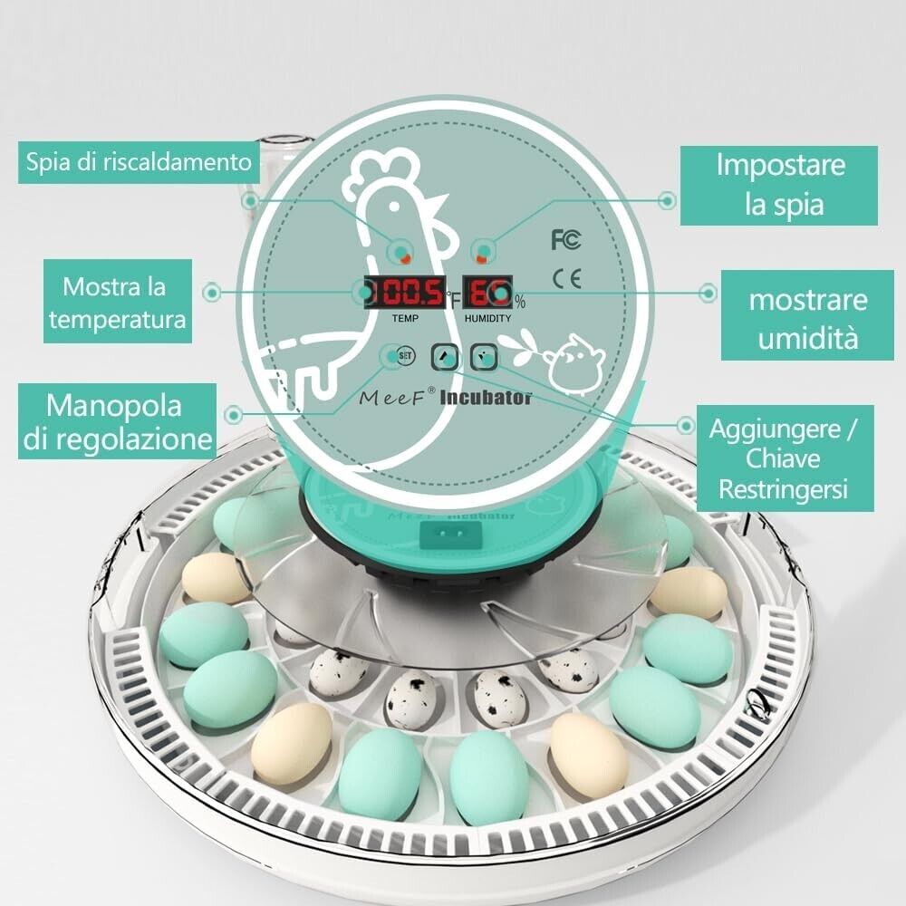 MeeF incubator for Hatching Eggs, Automatic 28 Eggs Incubator, Humidity Control