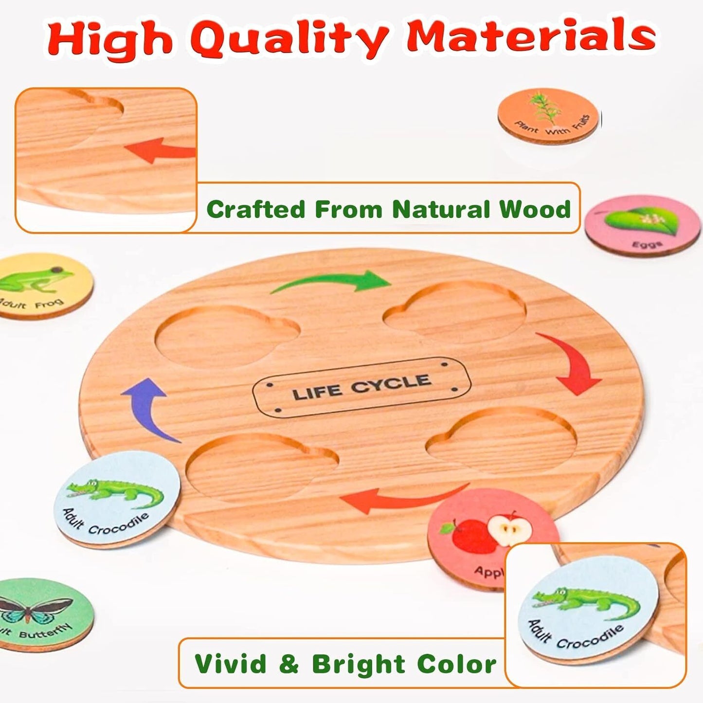 Life Cycle Learning Toy Set - Montessori Educational Toys for Ages 3-8+