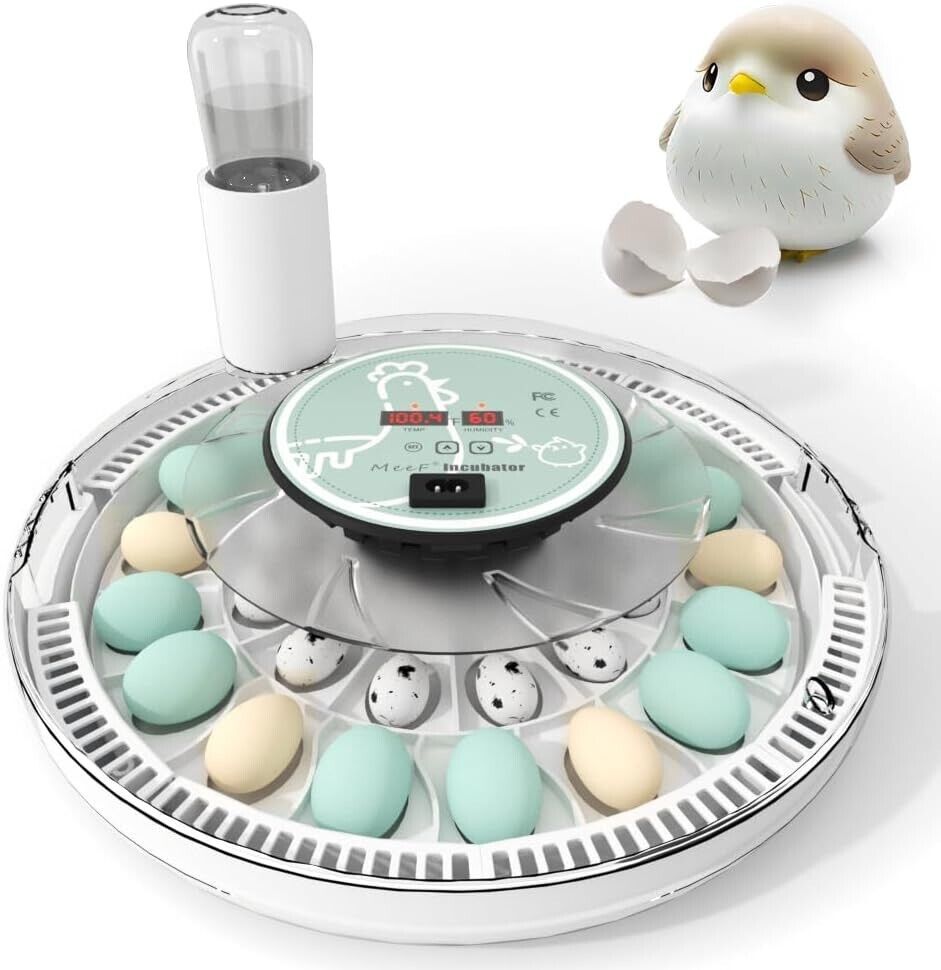 MeeF incubator for Hatching Eggs, Automatic 28 Eggs Incubator, Humidity Control