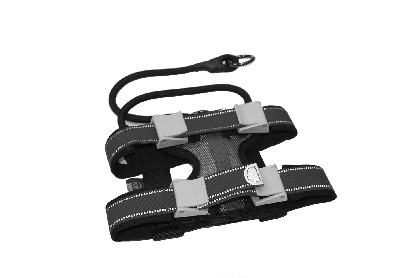 Cesar Millan Pack Leader Collar Training Collar Dog Whisperer Large Grey NA256-002