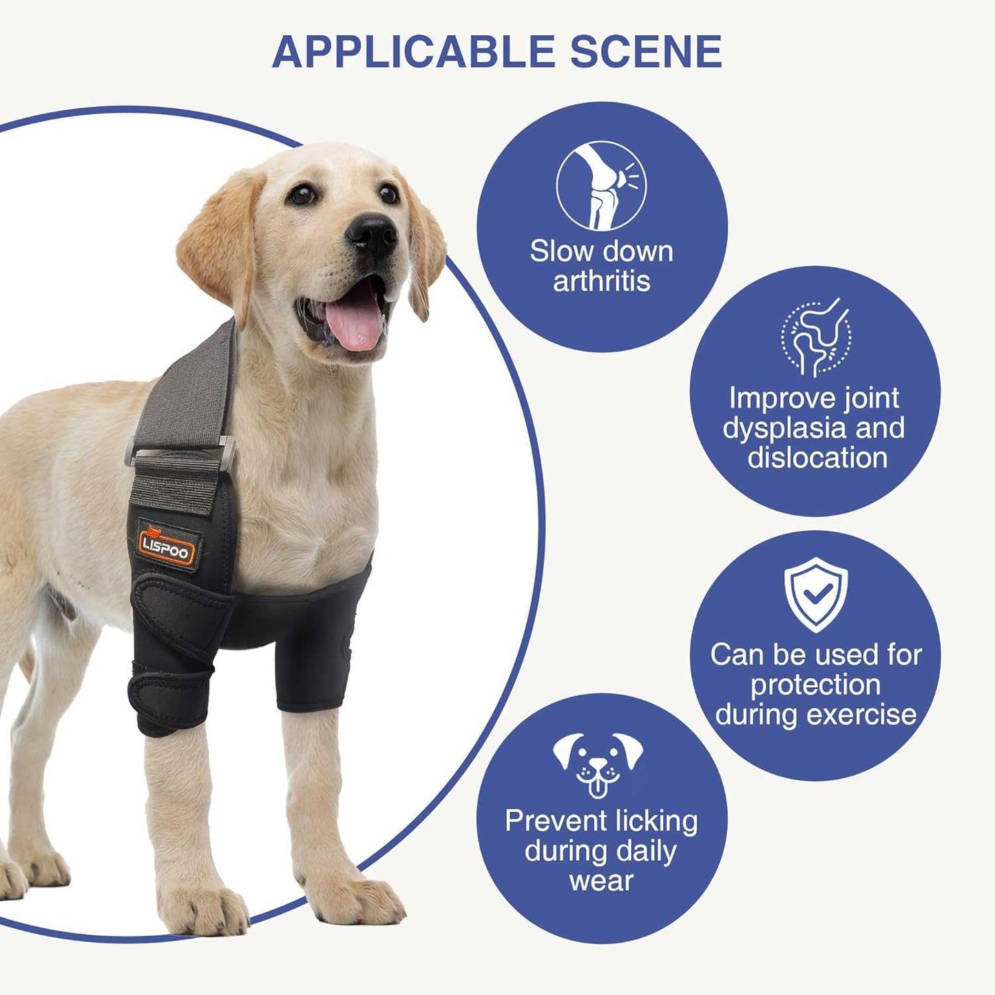 Hilltown Dog Elbow Brace XL for Shoulder Dislocation, Leg Injury, Arthritis Support NA252-002