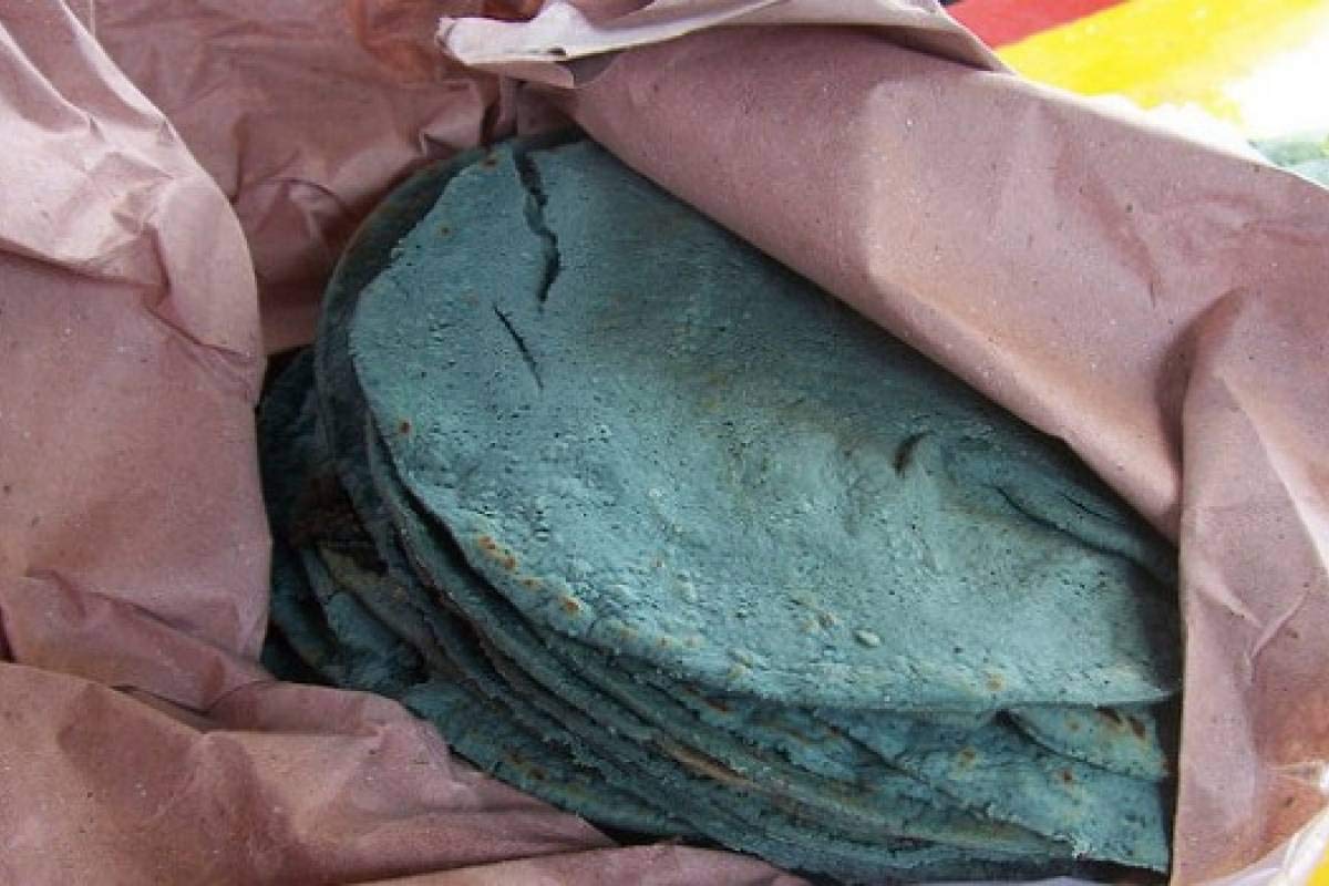 Maseca Blue Corn Instant Masa Flour - Masa de Maiz Azul (2)