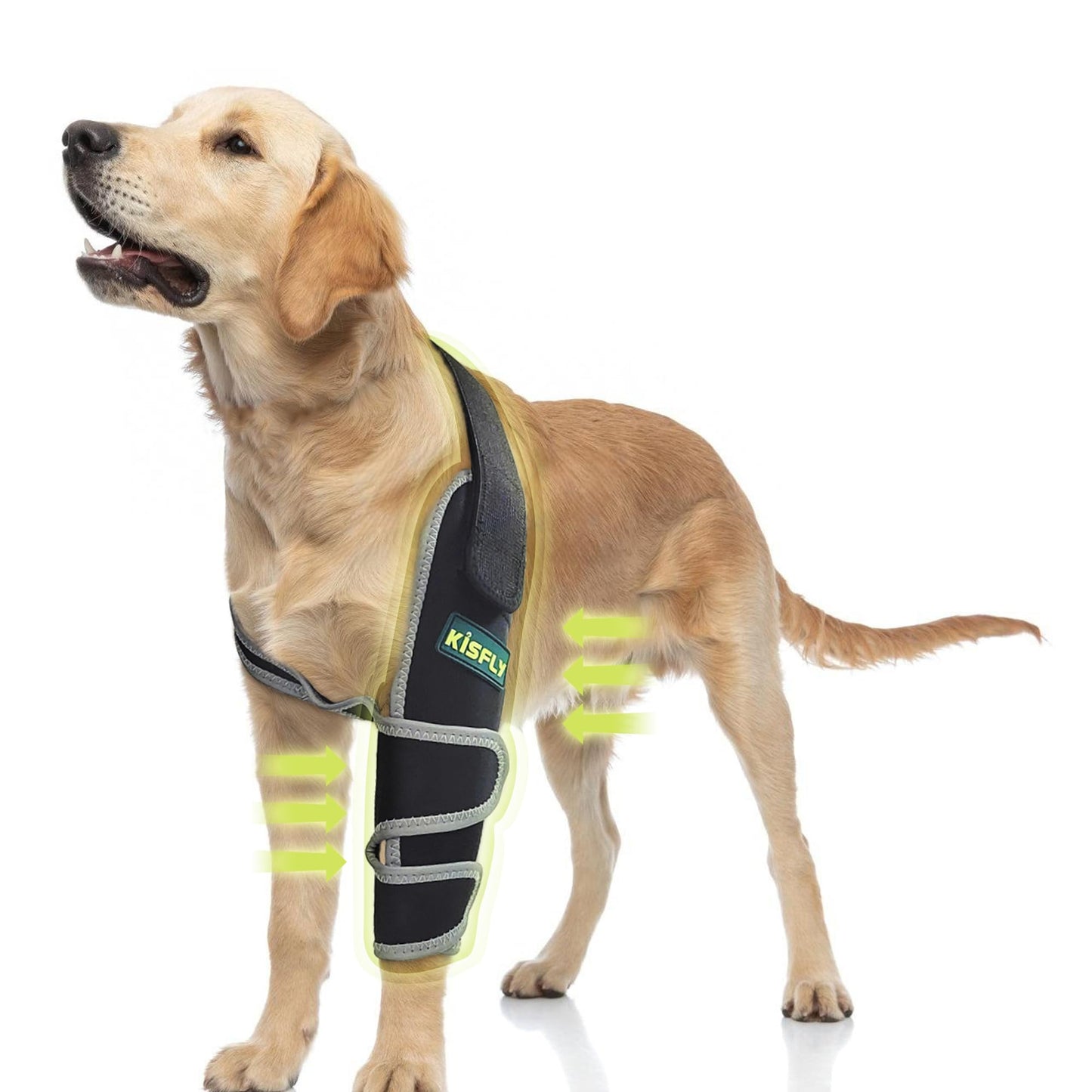 Dog Elbow Brace for Canine Support Osteoarthritis Dislocation Pressure Sores XL NA242-002