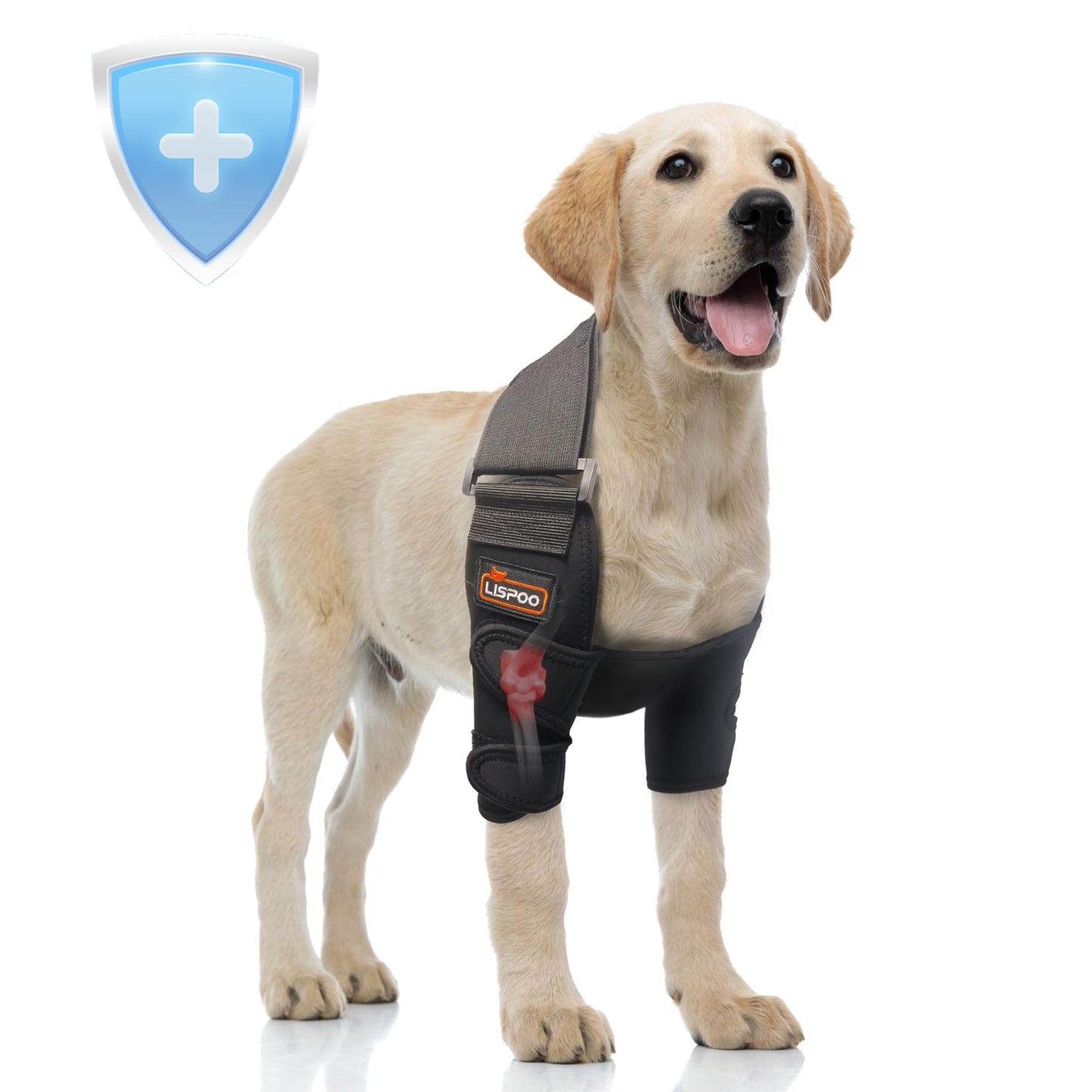 Hilltown Dog Elbow Brace XL for Shoulder Dislocation, Leg Injury, Arthritis Support NA252-002