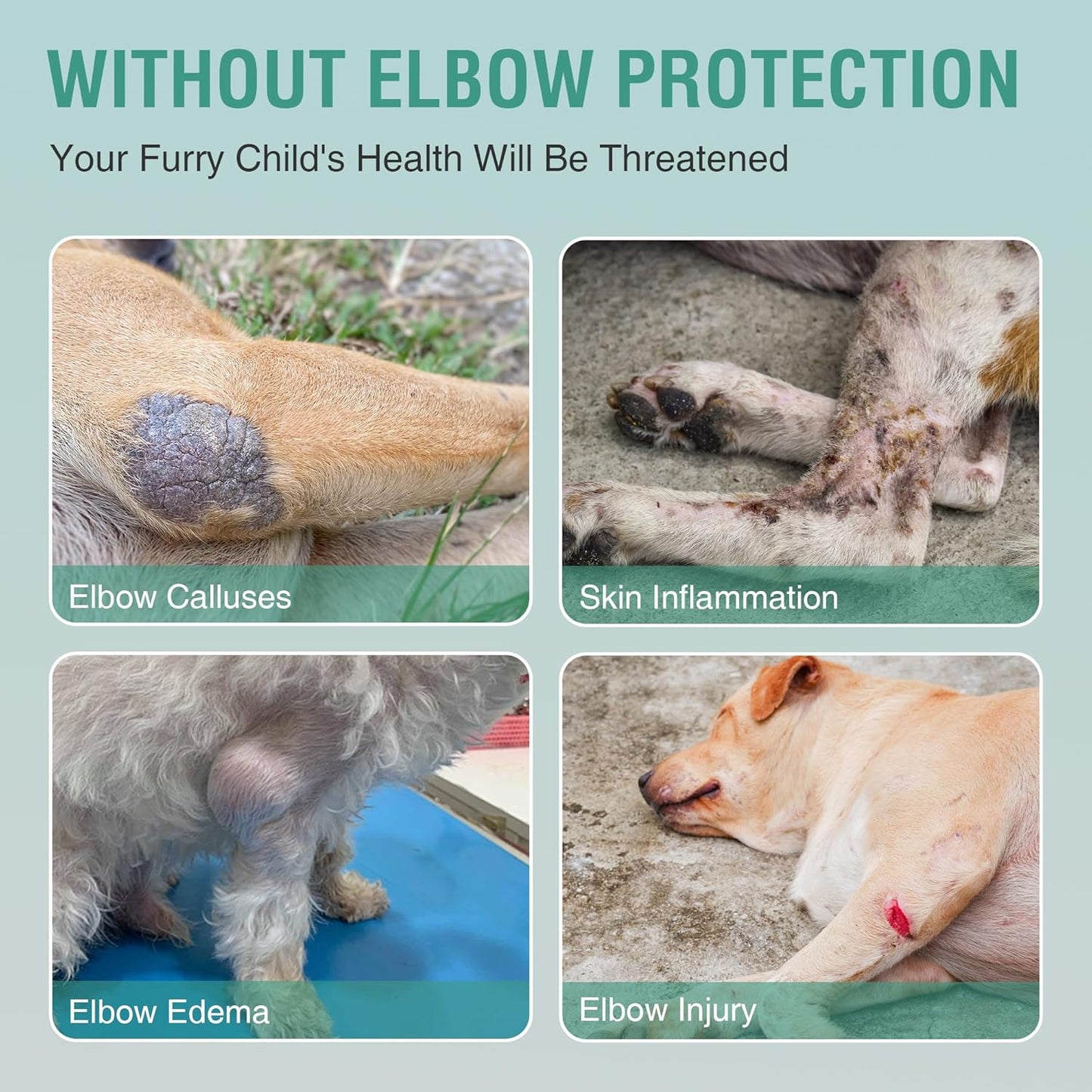 Dog Elbow Brace for Canine Support Osteoarthritis Dislocation Pressure Sores XL