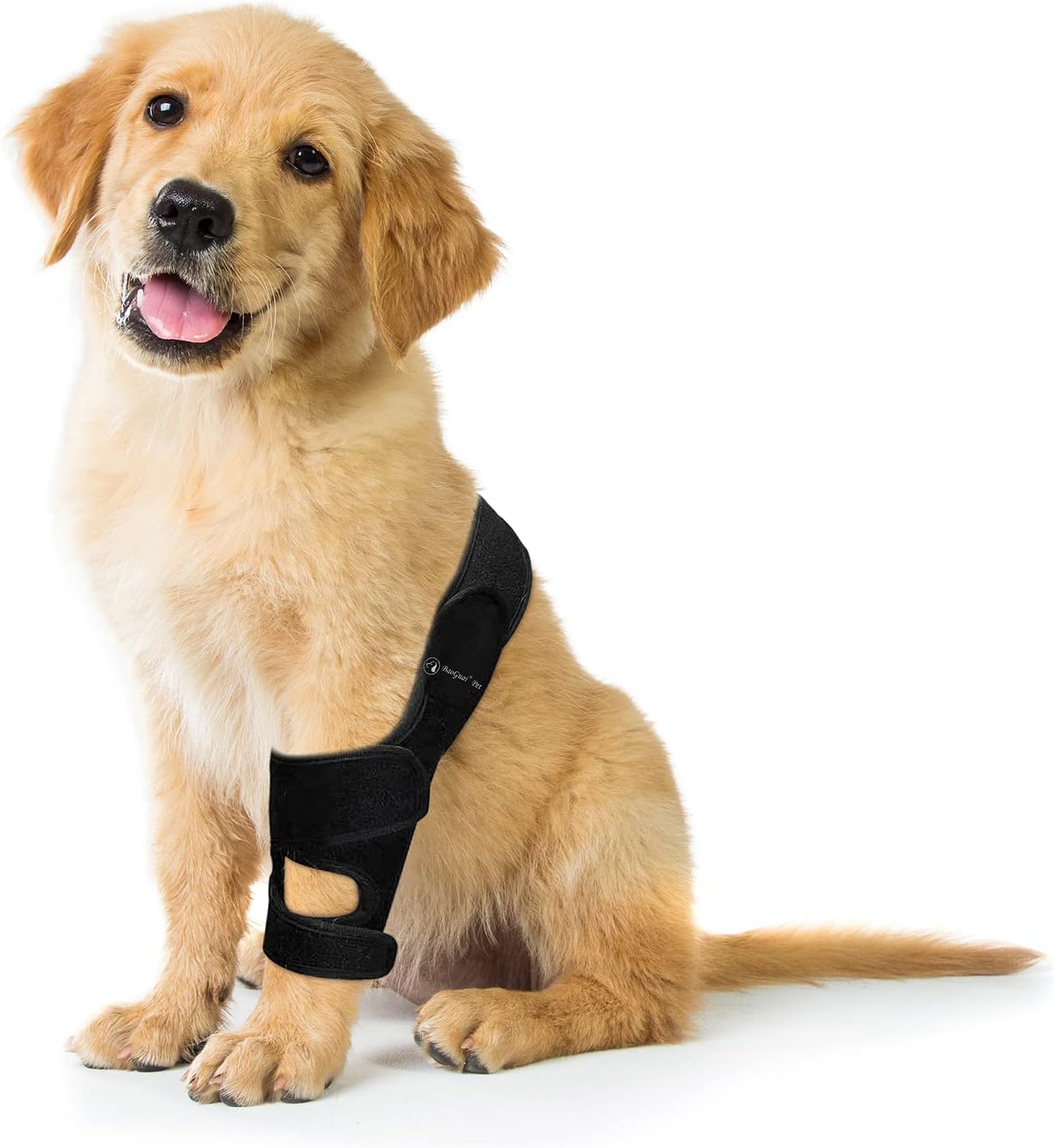 Knee Brace Size L for Dogs ACL Side Stabilizers Arthritis Pain Inflammation