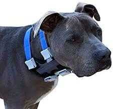 Cesar Millan Pack Leader Collar Training Collar Dog Whisperer Large Grey NA256-002