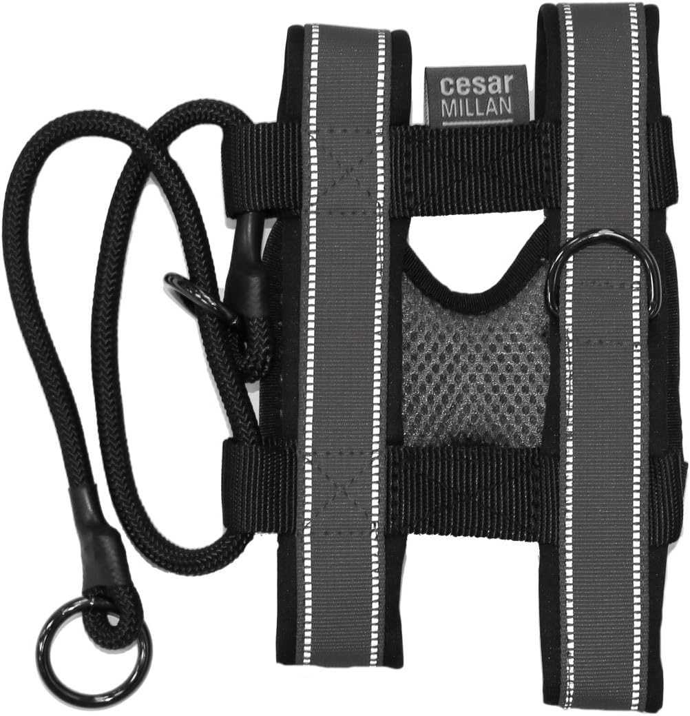 Cesar Millan Pack Leader Collar Training Collar Dog Whisperer Large Grey NA256-002