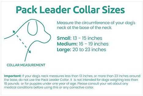 Cesar Millan Pack Leader Collar Training Collar Dog Whisperer Large Grey NA256-002