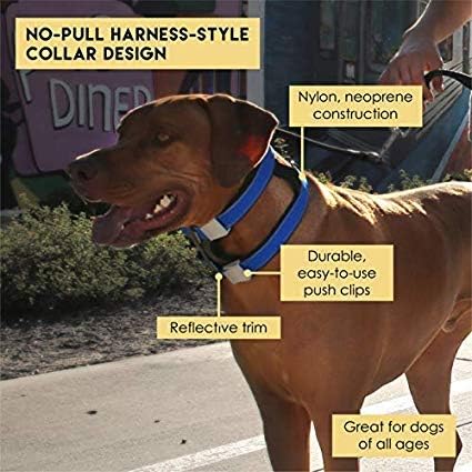 Cesar Millan Pack Leader Collar Training Collar Dog Whisperer Large Grey
