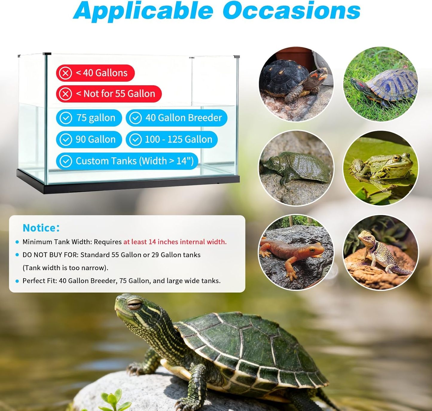 Extra Large Turtle Basking Platform for 40-125 Gallon Aquatic Tanks