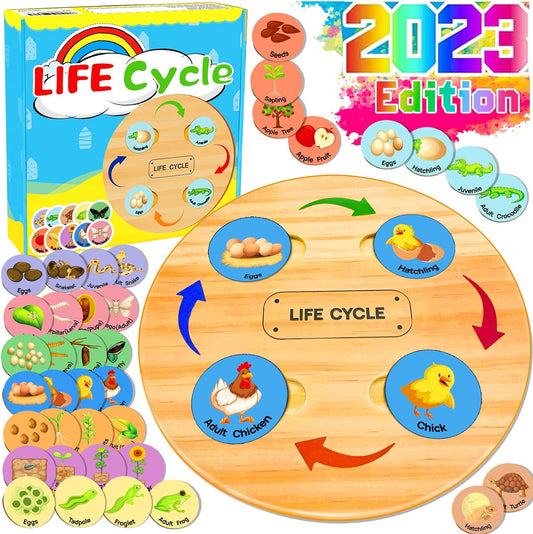 Life Cycle Learning Toy Set - Montessori Educational Toys for Ages 3-8+